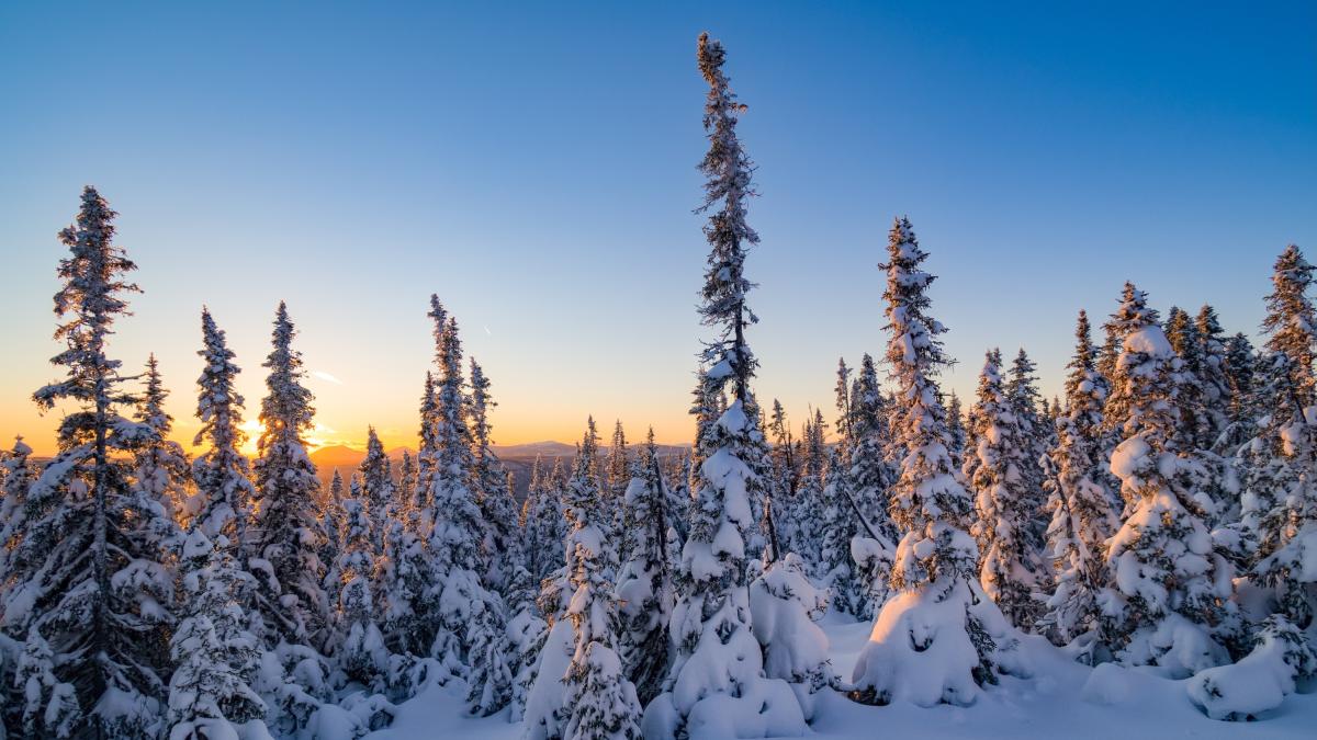 Solstizio d'inverno 2025: cosa significa e cosa succede il 21 dicembre