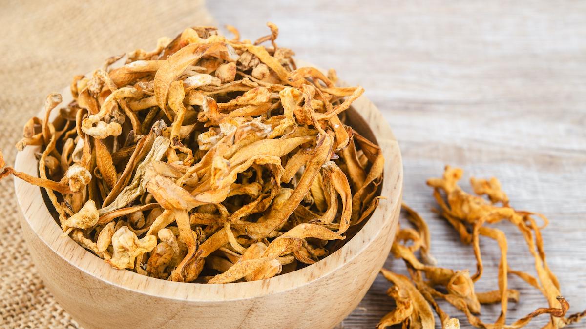 キノコを食べると知能が上がる：脳に効く5種類