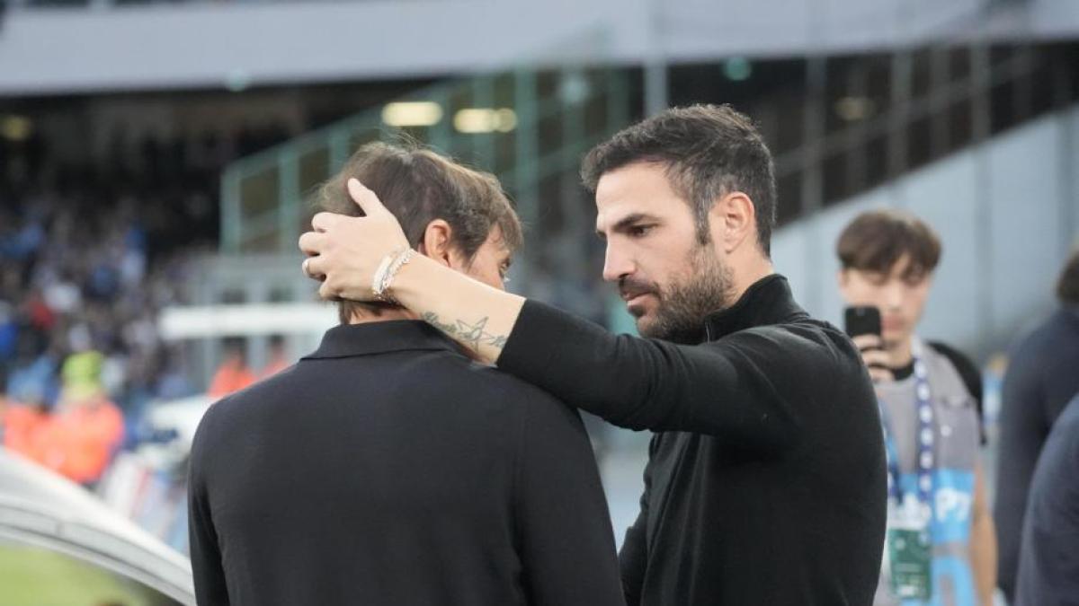 Napoli Como: Conte trova il talento di Paz. Attesi gol e spettacolo, c Napoli Como: Conte trova il talento di Paz. Attesi gol e spettacolo, c