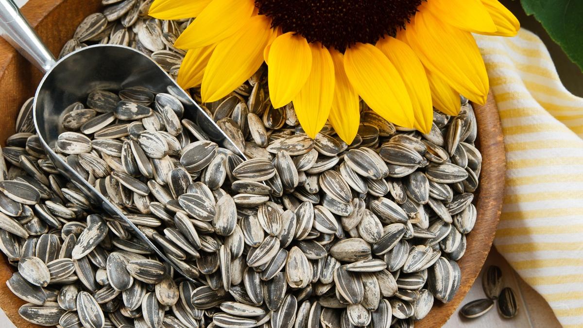 Semi di girasole: tutti i benefici per cuore e sistema immunitario
