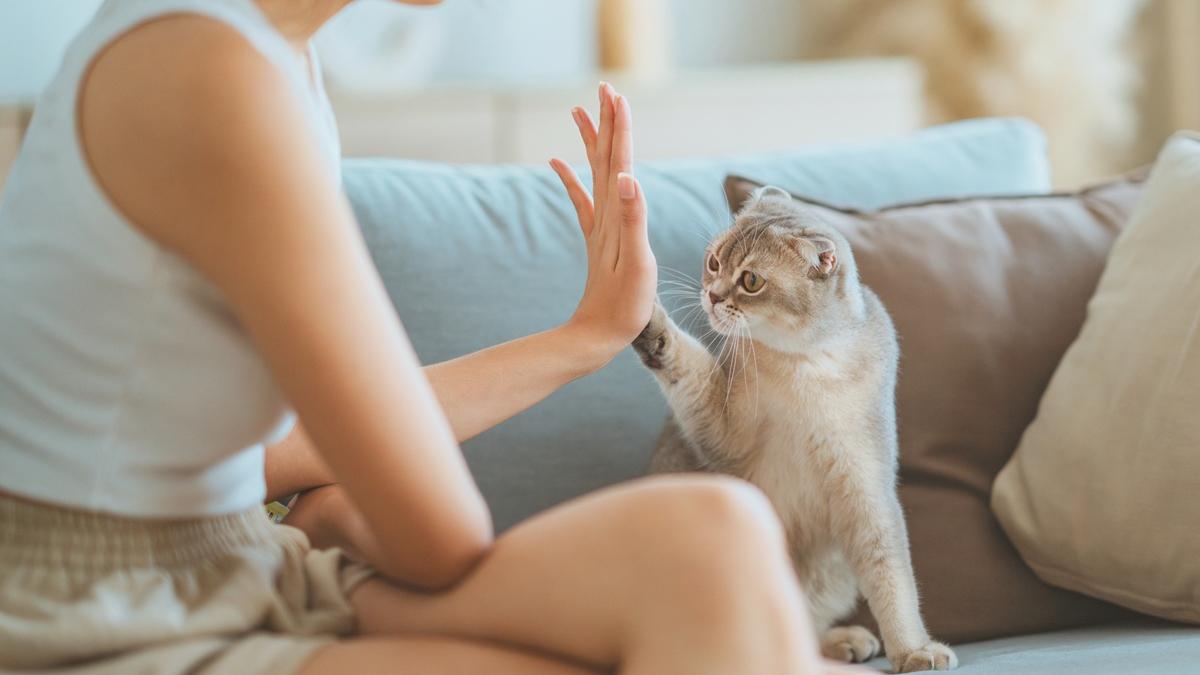 Gli animali domestici fanno bene alla salute tanto quanto un coniuge: lo studio