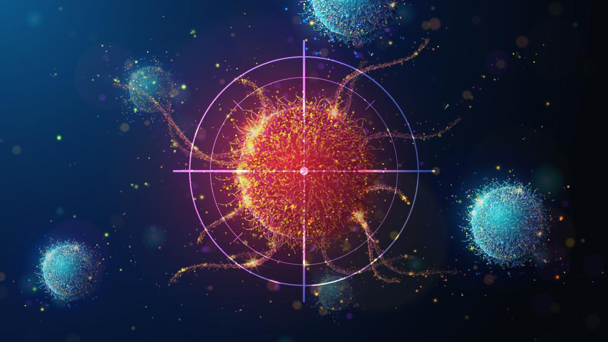 https://dimages2.gazzettaobjects.it/files/og_thumbnail/uploads/2025/05/05/681911506c0dd.jpeg