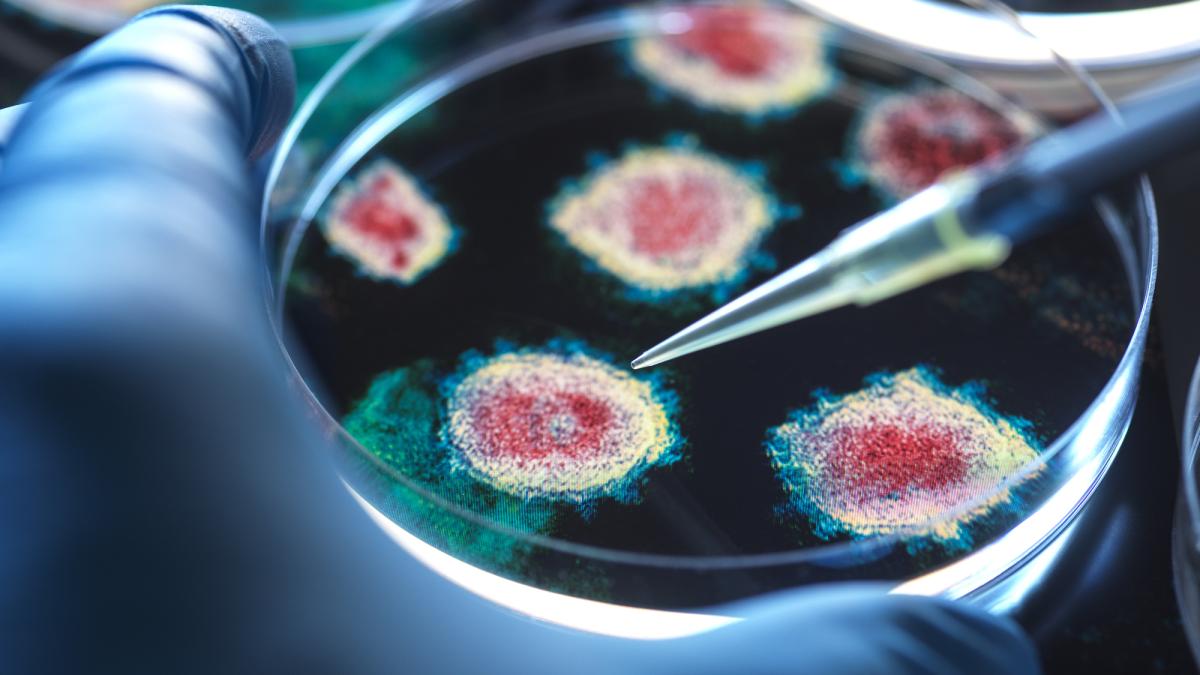 covid variante nimbus sintomi caratteristiche e il primo caso in italia