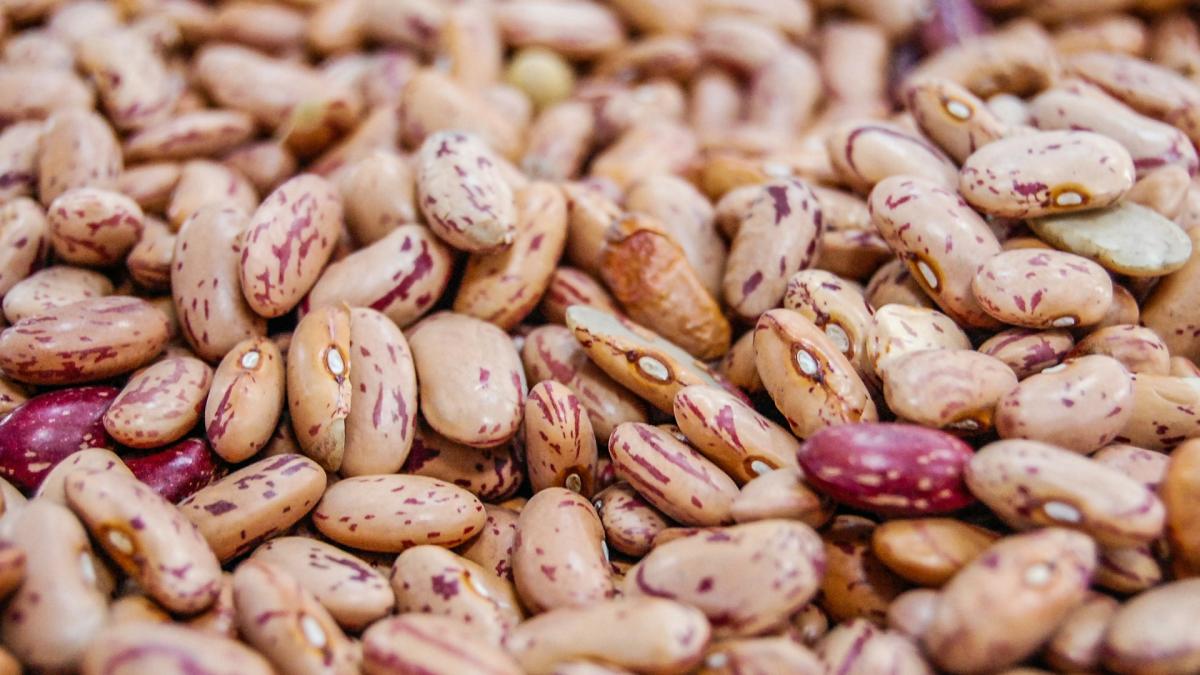 colesterolo e trigliceridi ecco come fagioli e ceci ogni giorno aiutano ad abbassarli