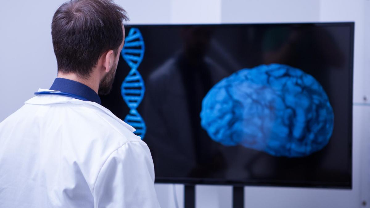 Demenza a 40 anni: uno studio spiega che succede nel cervello prima dei sintomi Demenza a 40 anni: uno studio spiega che succede nel cervello prima dei sintomi