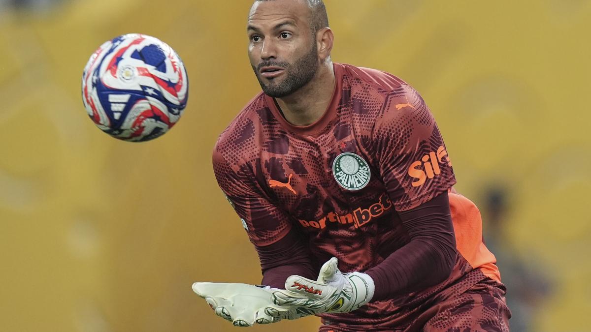 Palmeiras Porto, le pagelle: ottimo Weverton (7), i portieri sono i migliori. Gabri Veiga delude: 5,5 Palmeiras Porto, le pagelle: ottimo Weverton (7), i portieri sono i migliori. Gabri Veiga delude: 5,5