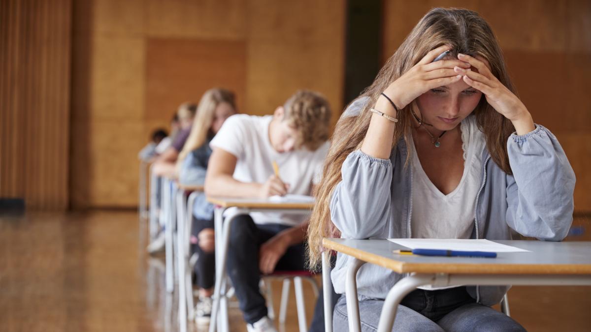 Maturità 2025, prima prova: le tracce su Pasolini, Gattopardo, Borsellino e Maccioni Maturità 2025, prima prova: le tracce su Pasolini, Gattopardo, Borsellino e Maccioni