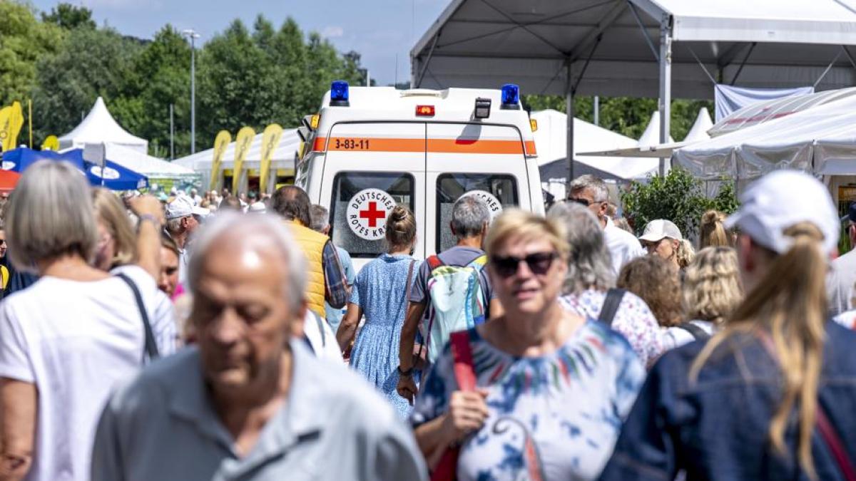 Paura ad Halle, un pannello si stacca e colpisce una donna: Zverev le porta il ghiaccio Paura ad Halle, un pannello si stacca e colpisce una donna: Zverev le porta il ghiaccio