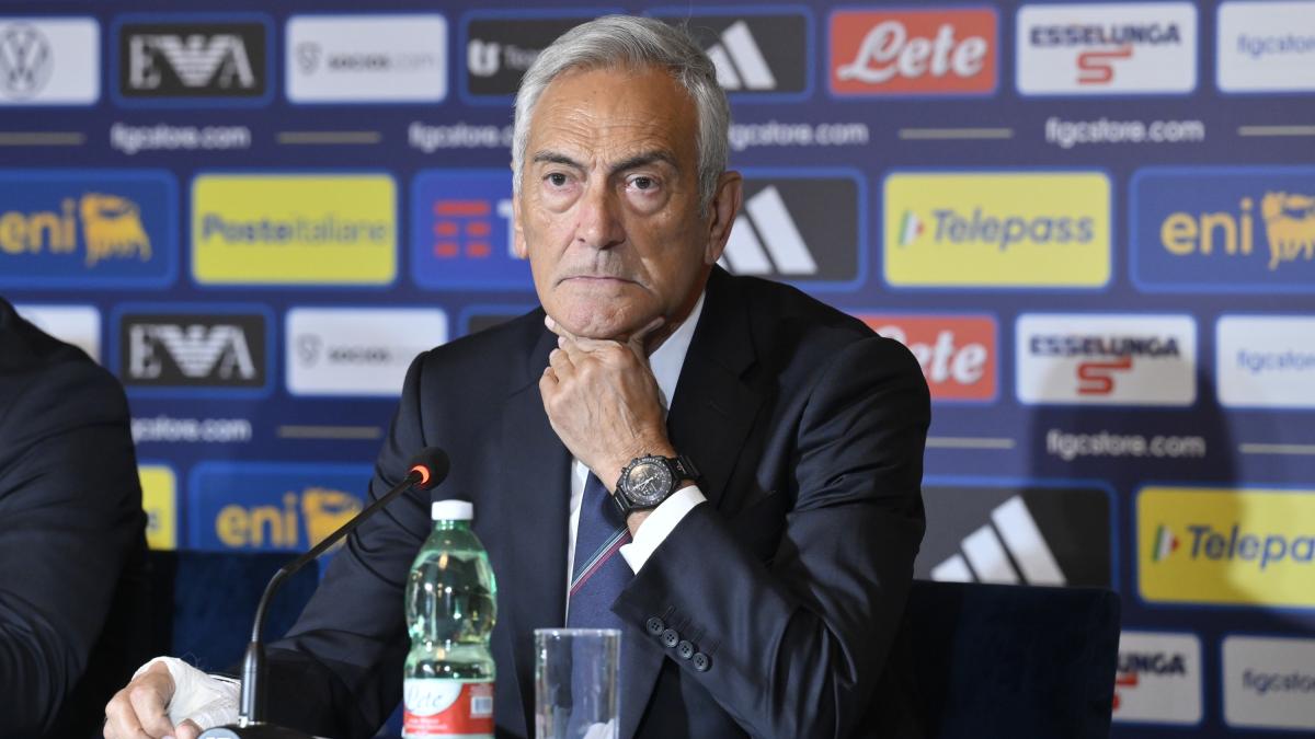 gravina commissario stadi fondamentale per il rilancio degli impianti in vista di euro32