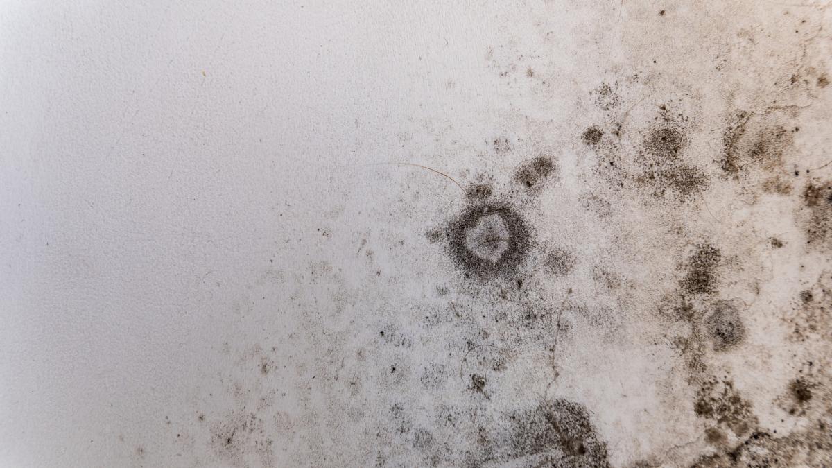 https://dimages2.gazzettaobjects.it/files/og_thumbnail/uploads/2025/06/20/6855006b17853.jpeg