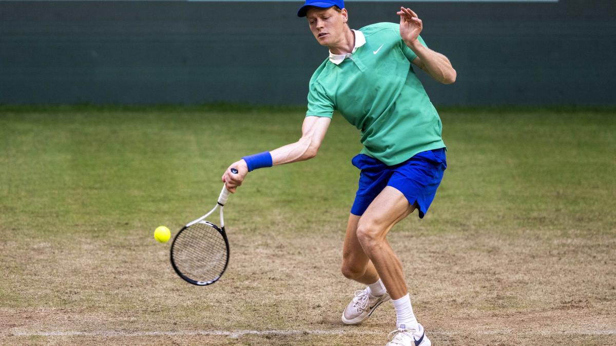Erba più veloce, due set su tre: perché il ko di Halle non preoccupa Sinner verso Wimbledon Erba più veloce, due set su tre: perché il ko di Halle non preoccupa Sinner verso Wimbledon