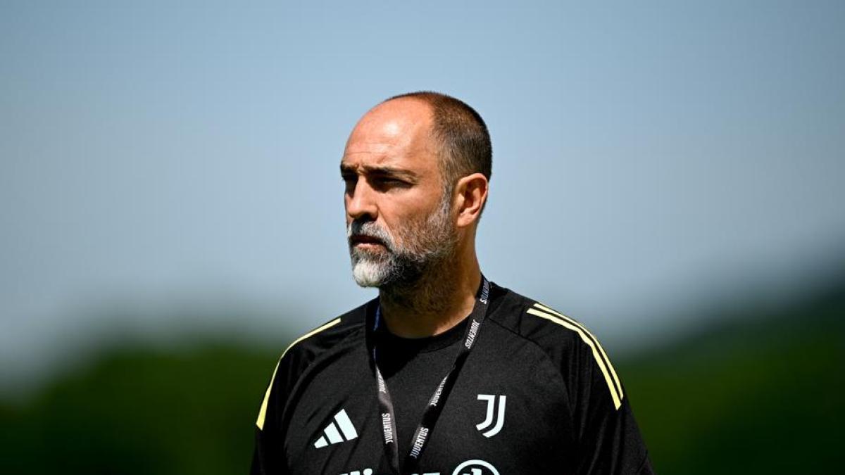 Tudor: "Juve a tutto gas, prendiamoci gli ottavi. E che energia nel club" Tudor: "Juve a tutto gas, prendiamoci gli ottavi. E che energia nel club"