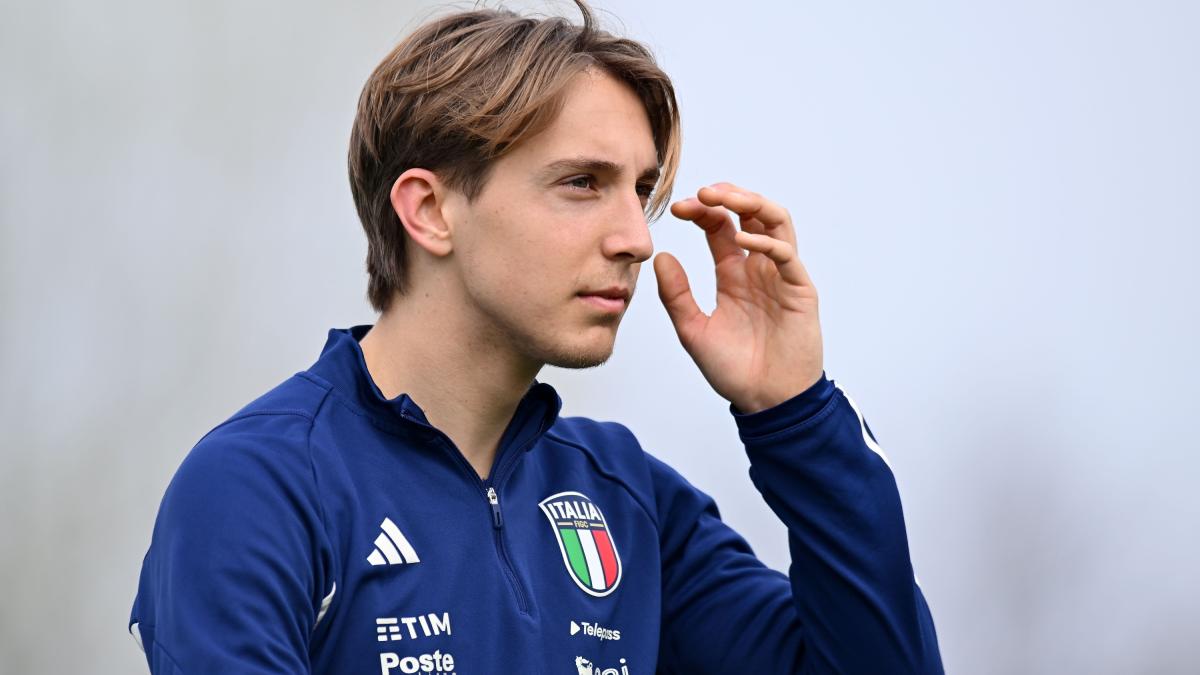 Fazzini al fantacalcio: ruolo, quotazione e statistiche del nuovo giocatore della Fiorentina Fazzini al fantacalcio: ruolo, quotazione e statistiche del nuovo giocatore della Fiorentina