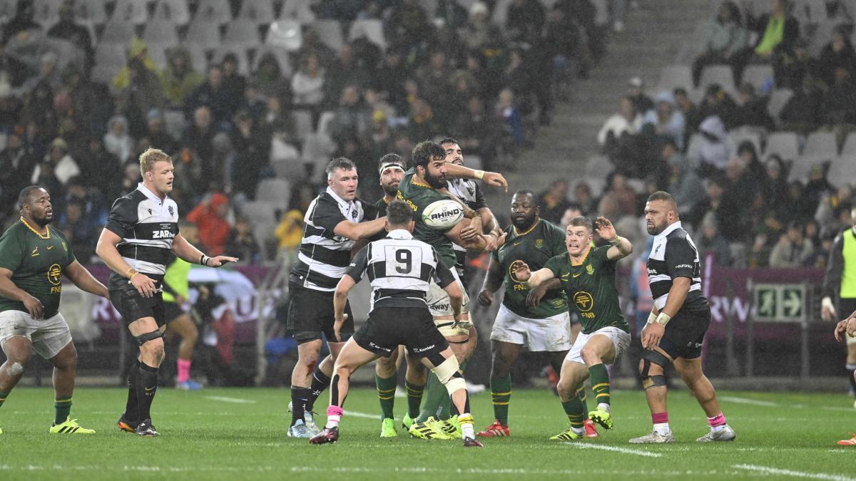pioggia di mete a citt224 del capo il sudafrica travolge i barbarians