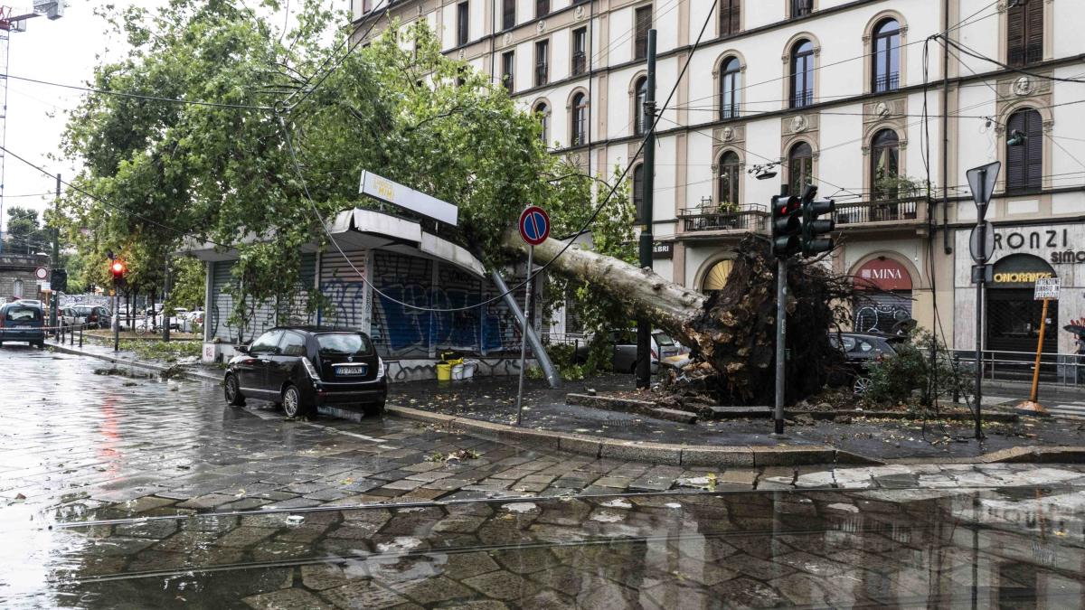 Il meteo di oggi 7 luglio, rischio temporali su Nord e Centro, caldo e afa al Sud Il meteo di oggi 7 luglio, rischio temporali su Nord e Centro, caldo e afa al Sud