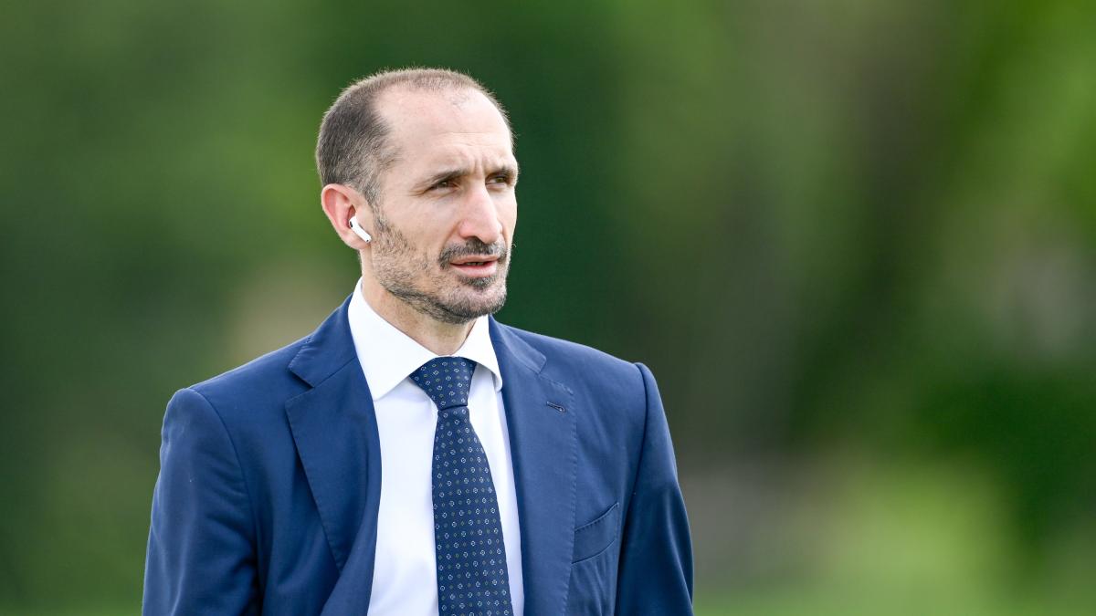 Chiellini diventa co proprietario del Los Angeles: "Invariati i miei impegni con la Juve" Chiellini diventa co proprietario del Los Angeles: "Invariati i miei impegni con la Juve"