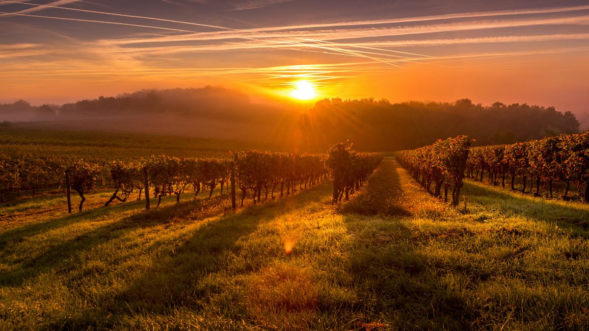 Guardare il tramonto fa bene al cervello: lo dice anche la scienza Guardare il tramonto fa bene al cervello: lo dice anche la scienza