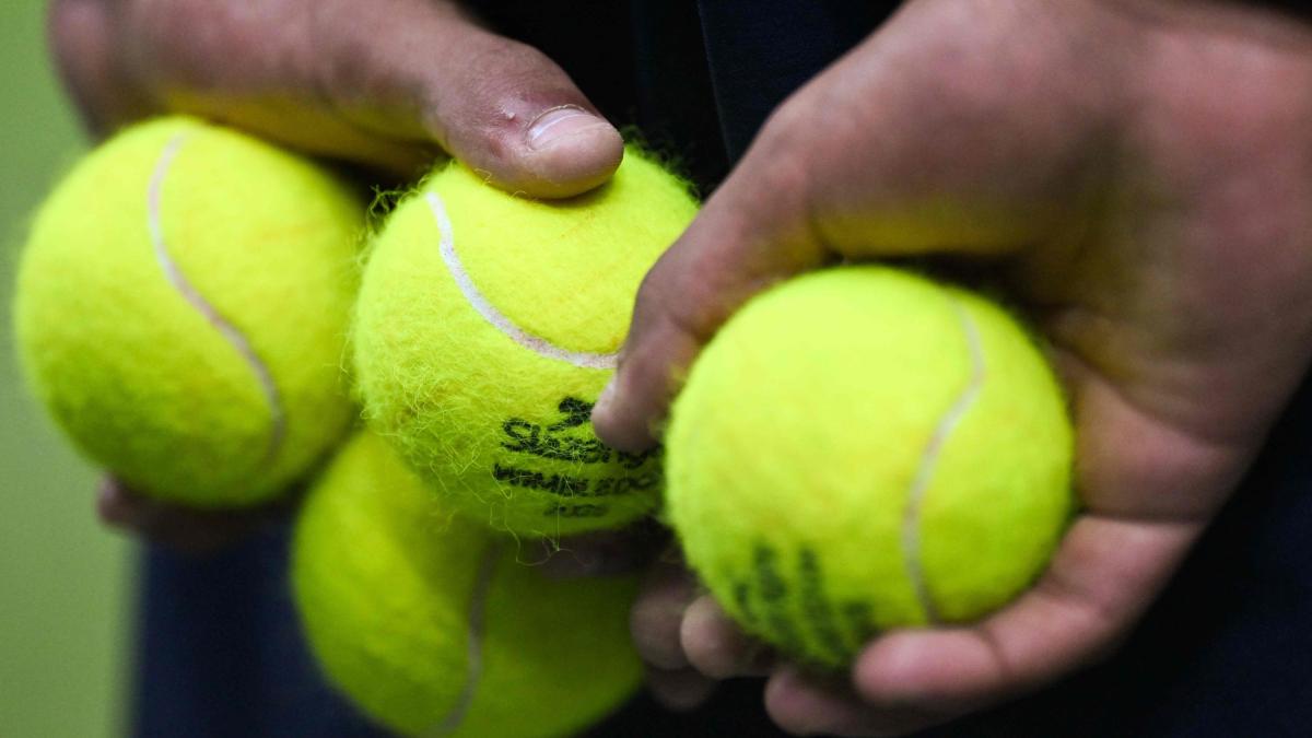 Wimbledon, che fine fanno le 55mila palline usate? Diventano "case" per piccoli topi Wimbledon, che fine fanno le 55mila palline usate? Diventano "case" per piccoli topi