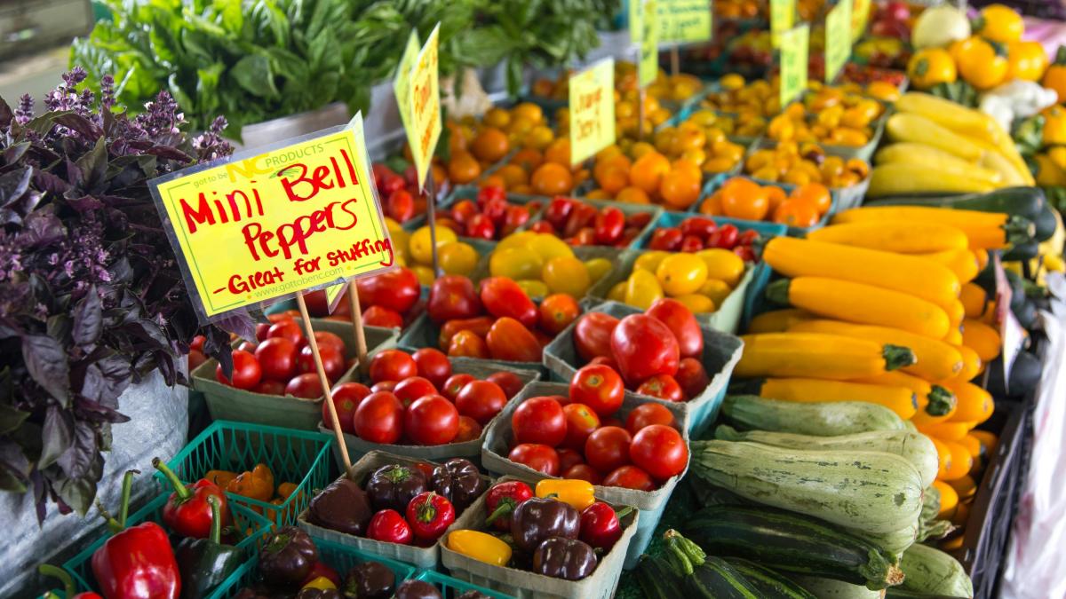 Le 5 verdure super idratanti che non devono mancare a tavola d Le 5 verdure super idratanti che non devono mancare a tavola d
