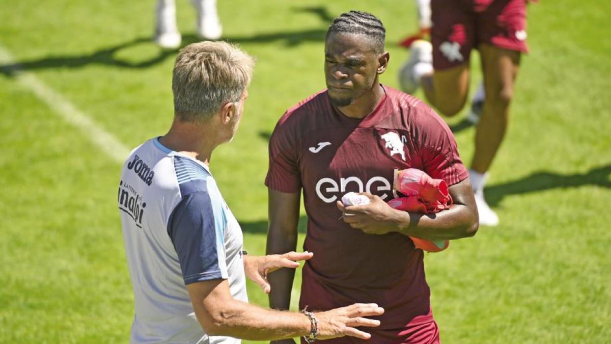 torino al fantacalcio titolari rigorista possibili sorprese e chi prendere