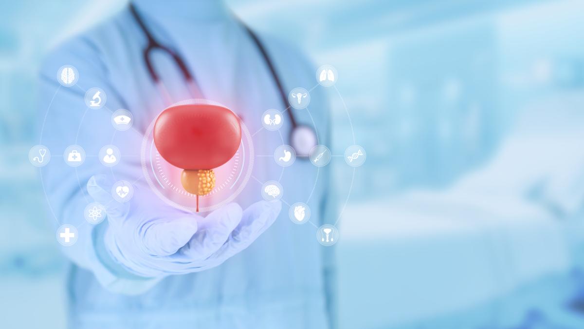 prostata la nuova terapia a base di vapore acqueo arriva anche a bologna