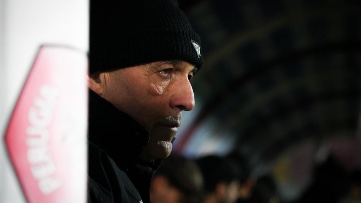 Castori: "Nonno a chi? A 71 anni sfido i giovani, trovo noioso il possesso palla e mi manca Zeman" Castori: "Nonno a chi? A 71 anni sfido i giovani, trovo noioso il possesso palla e mi manca Zeman"