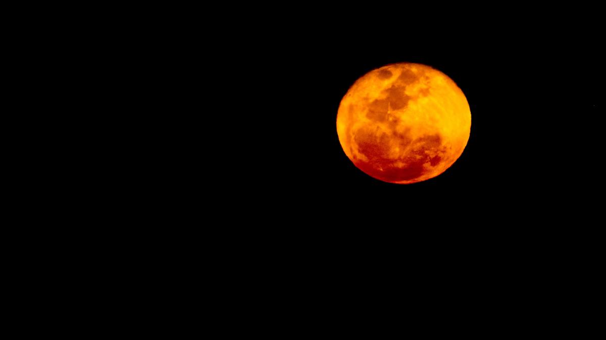 Luna di Sangue: il 7 settembre sarà visibile in tutta Italia a occhio nudo Luna di Sangue: il 7 settembre sarà visibile in tutta Italia a occhio nudo