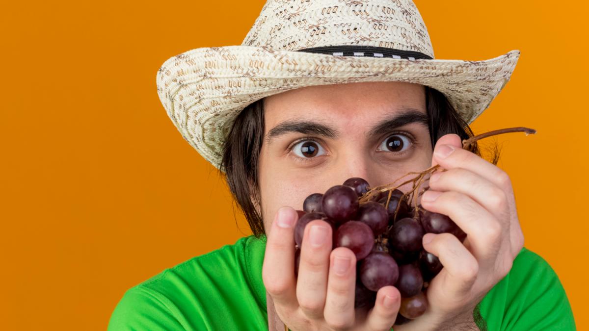 l italia ha un superfood che non sapeva di avere l uva