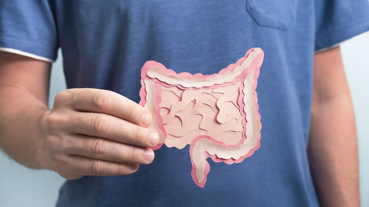 le 10 regole d8217oro per la regolarit224 intestinale quotidiana