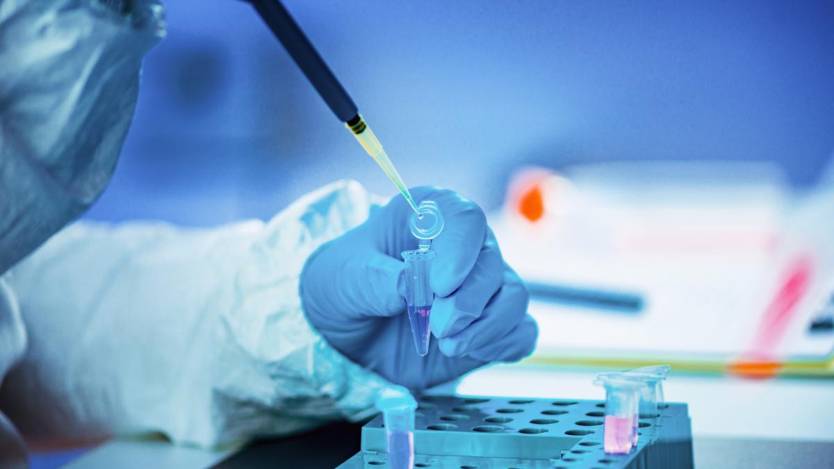 tumore alla prostata il potere benefico insospettabile dei funghi champignon