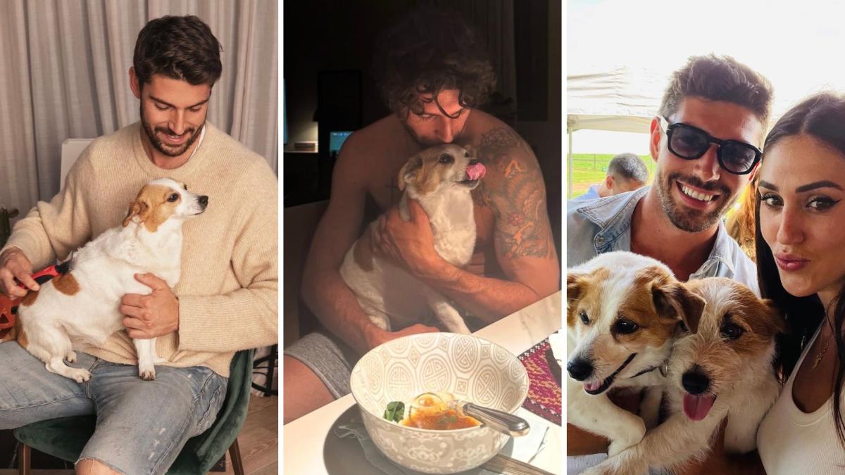 cecilia rodriguez e ignazio moser 232 morta la cagnolina aspirina ci mancherai da morire