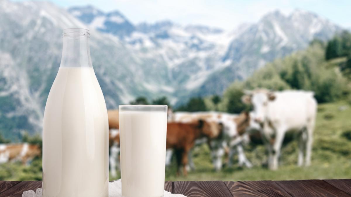 Quali sono i tipi di latte meno grasso? Le risposte della nutrizionista Quali sono i tipi di latte meno grasso? Le risposte della nutrizionista