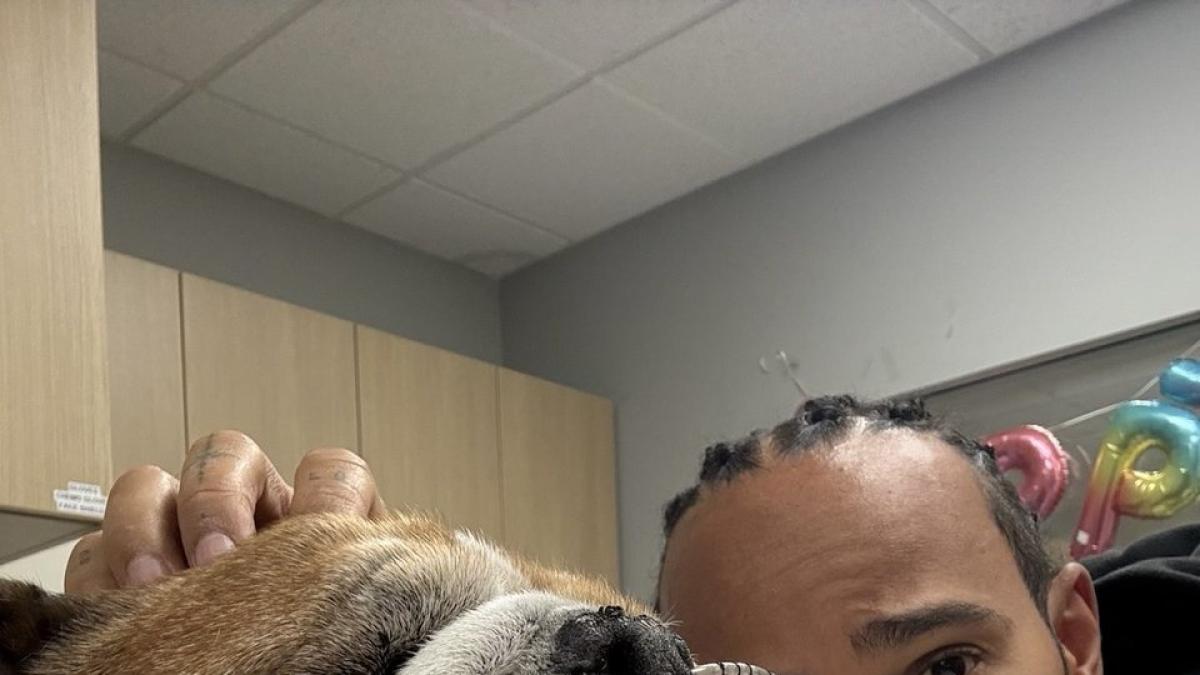 un angelo un vero amico roscoe non ce l ha fatta hamilton piange la morte del suo bulldog