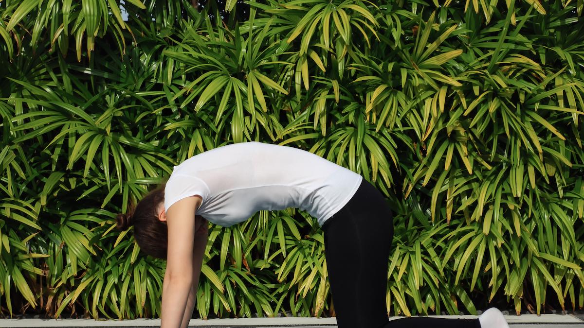 stretching per la schiena 6 esercizi semplici con la guida passo passo