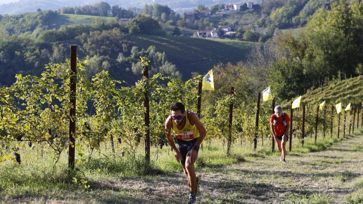Trail della Barbera 2025: i percorsi da 25 e 16 km della corsa tra i vigneti