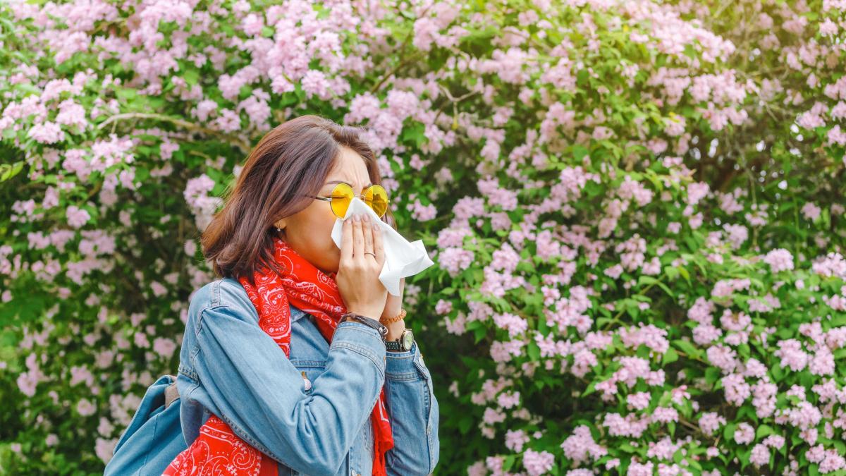 la scienza spiega perch233 le allergie primaverili stanno peggiorando sempre di pi249 da Gazzetta.it la scienza spiega perch233 le allergie primaverili stanno peggiorando sempre di pi249