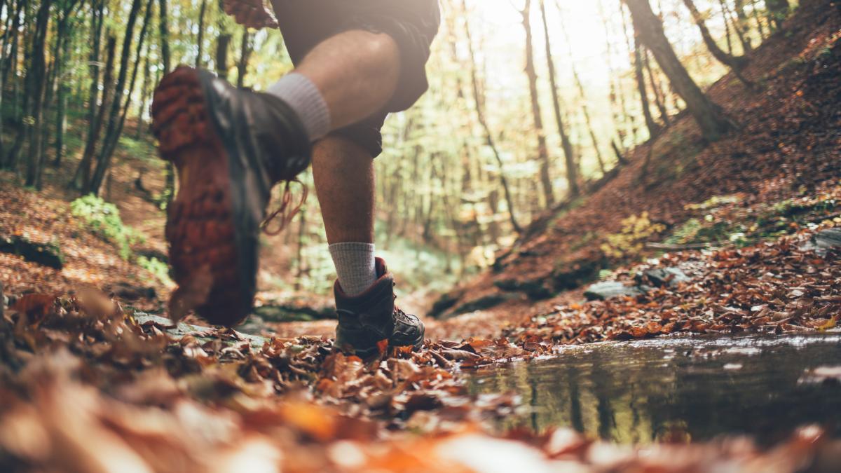 Speed hiking: regole e consigli per chi comincia Speed hiking: regole e consigli per chi comincia