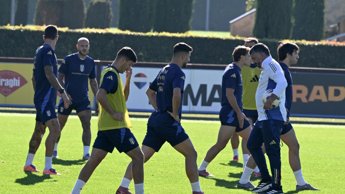 Il mental coach Tirelli: "La testa conta più della tattica. L'Italia stavolta può farcela"