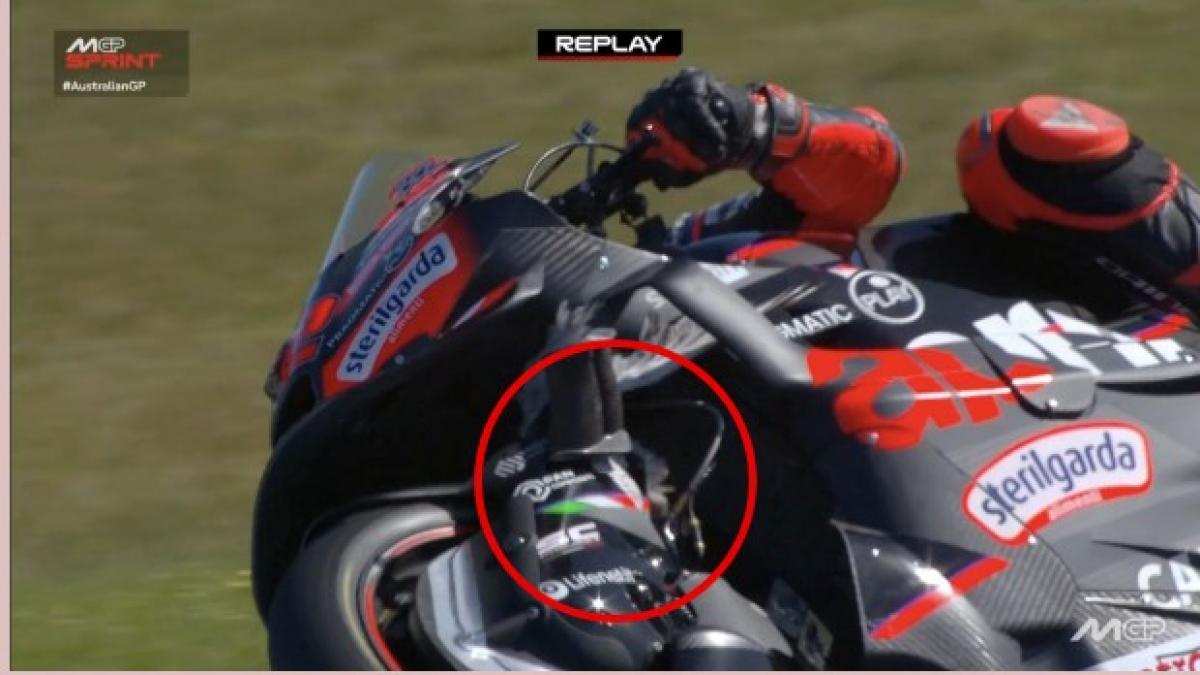Bezzecchi e la lotta coi gabbiani in Australia: uno finisce dentro la moto, ma... sopravvive