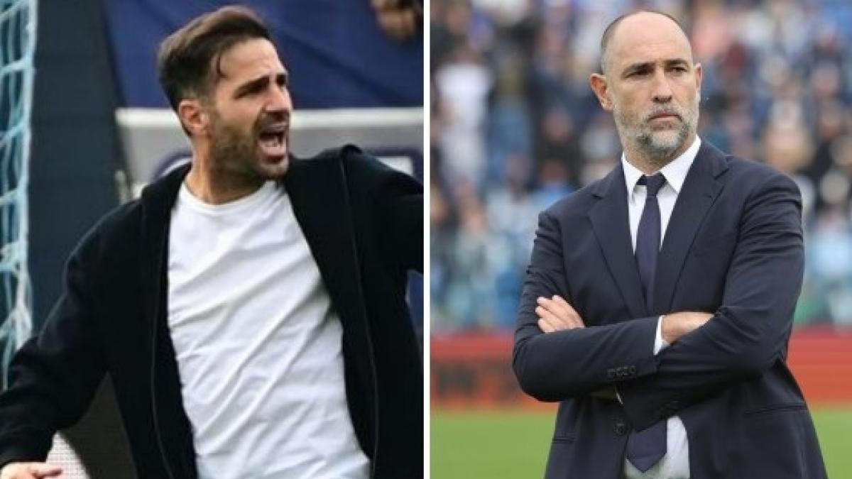 Tudor contro Fabregas, che polemica. "Facciamo un altro mestiere". "Può dire quello che vuole" Tudor contro Fabregas, che polemica. "Facciamo un altro mestiere". "Può dire quello che vuole"