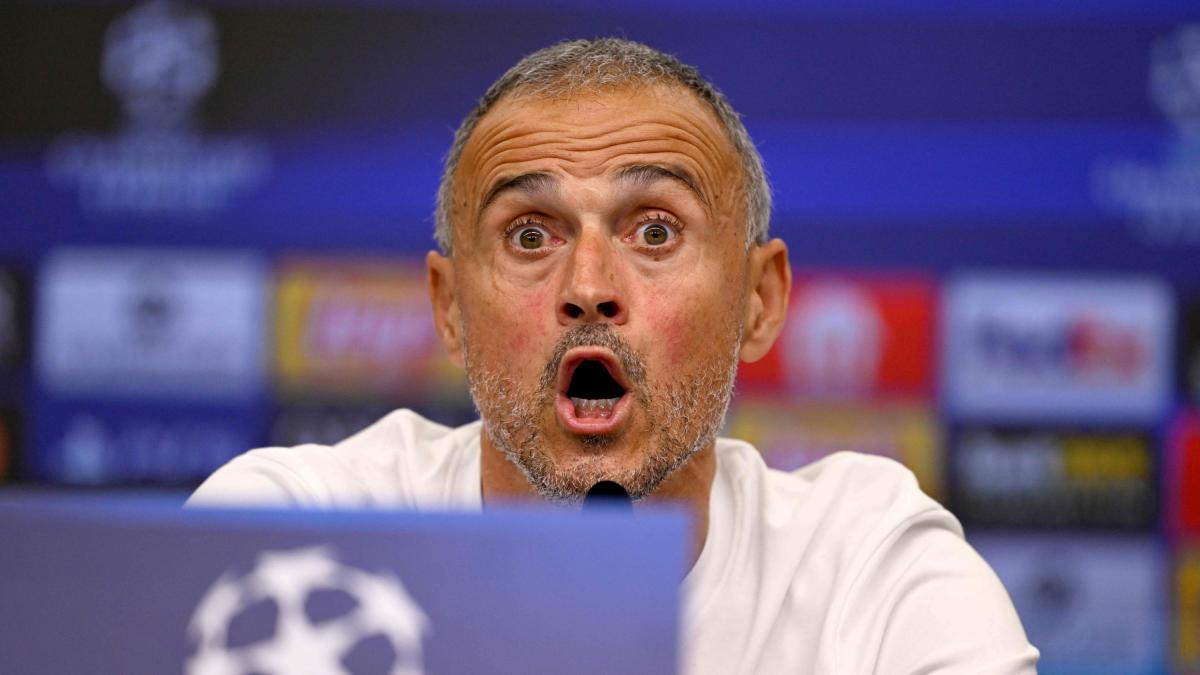 Luis Enrique: "Per anni Donnarumma è stato massacrato dai media, eppure... Chevalier, fai come lui" Luis Enrique: "Per anni Donnarumma è stato massacrato dai media, eppure... Chevalier, fai come lui"