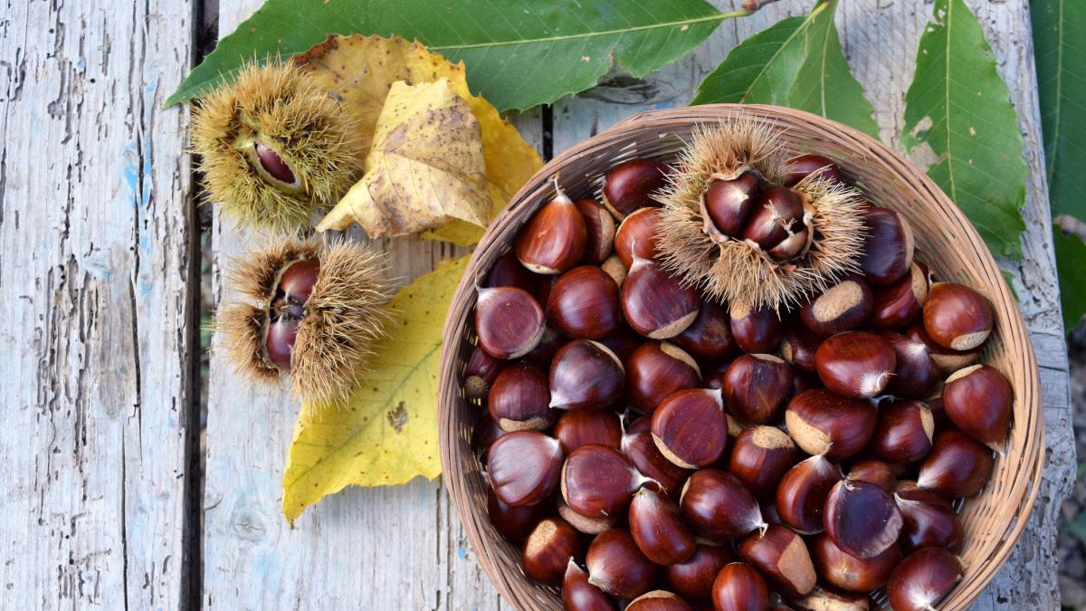 Come e quante castagne mangiare se si ha il colesterolo alto?