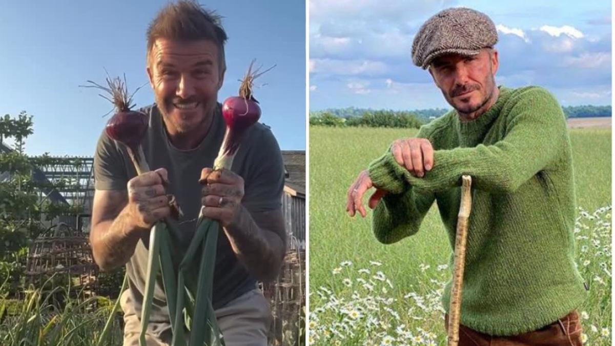 David Beckham nell David Beckham nell