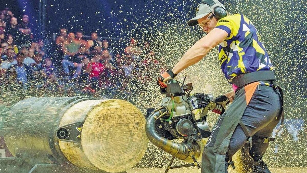 Forza taglialegna, che show a Milano. I giganti si sfidano, fra asce e tronchi