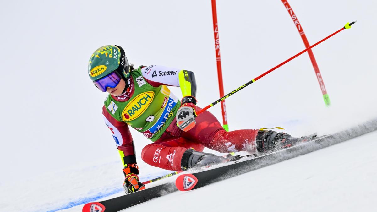 Gigante di Soelden, Scheib riaccende l Gigante di Soelden, Scheib riaccende l