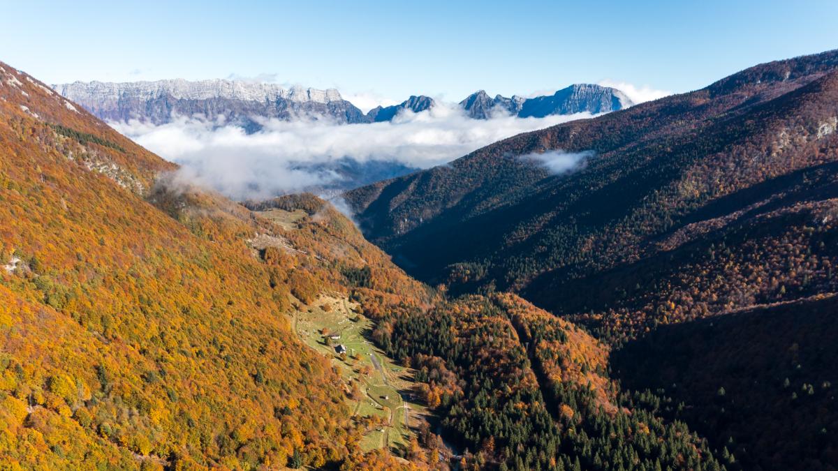Cinque itinerari per ammirare il foliage dei boschi del Friuli Cinque itinerari per ammirare il foliage dei boschi del Friuli