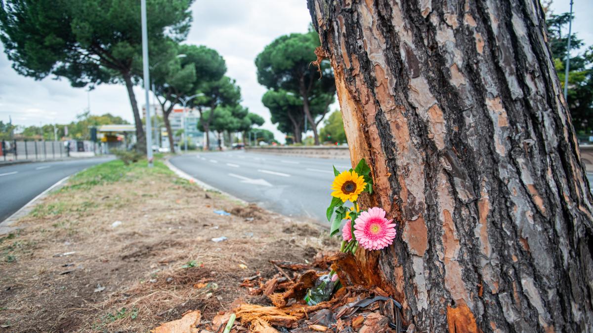 incidente a roma al vaglio le immagini delle telecamere da Gazzetta.it incidente a roma al vaglio le immagini delle telecamere