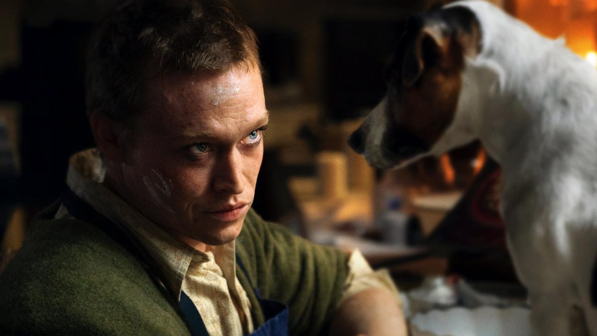 Dogman, il film Luc Besson stasera in prima visione su Rai 3 Dogman, il film Luc Besson stasera in prima visione su Rai 3