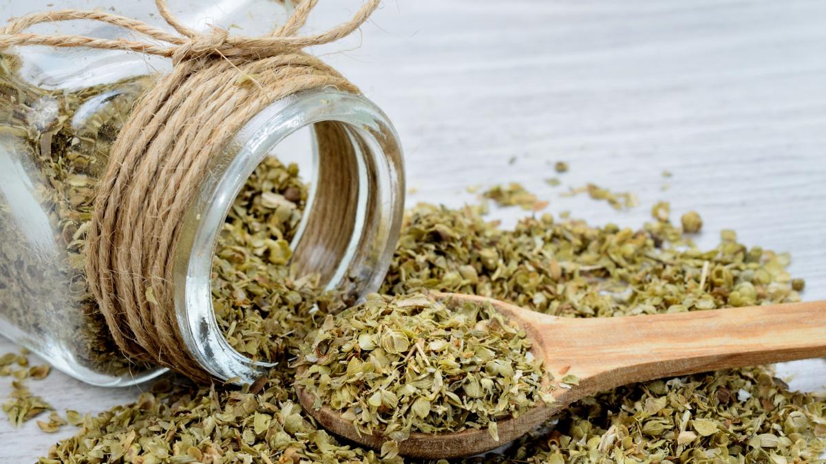 origano calabro il piccolo grande segreto del mediterraneo che fa bene anche agli sportivi