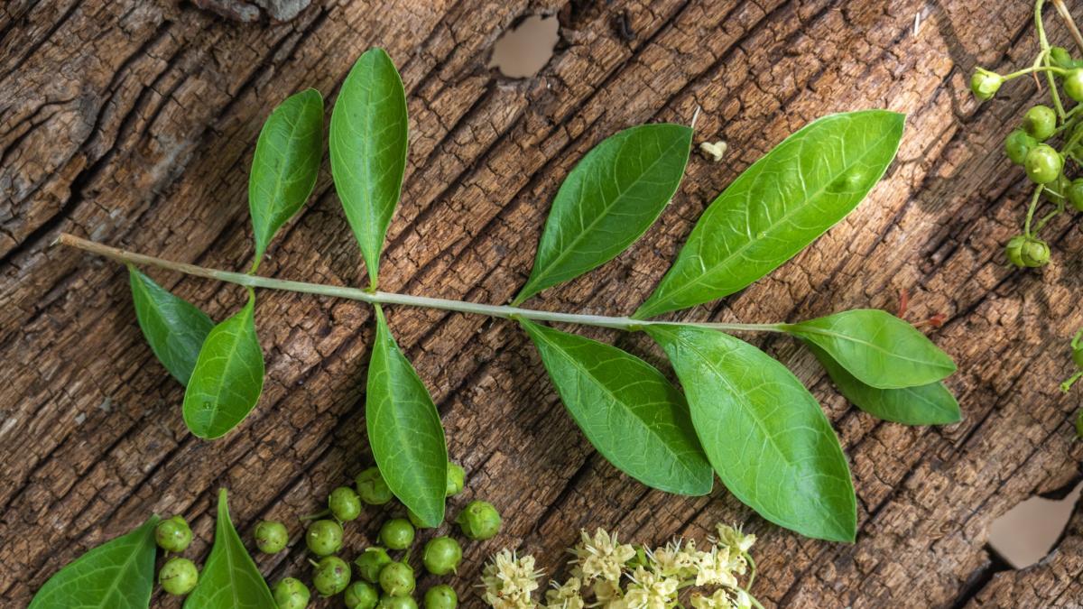 Lo straordinario potere dell